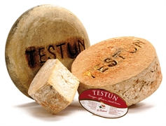 Testun