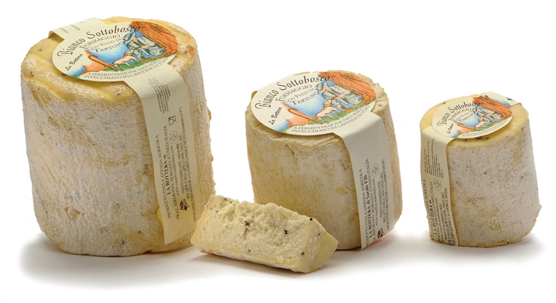 Bianco sottobosco al Tartufo